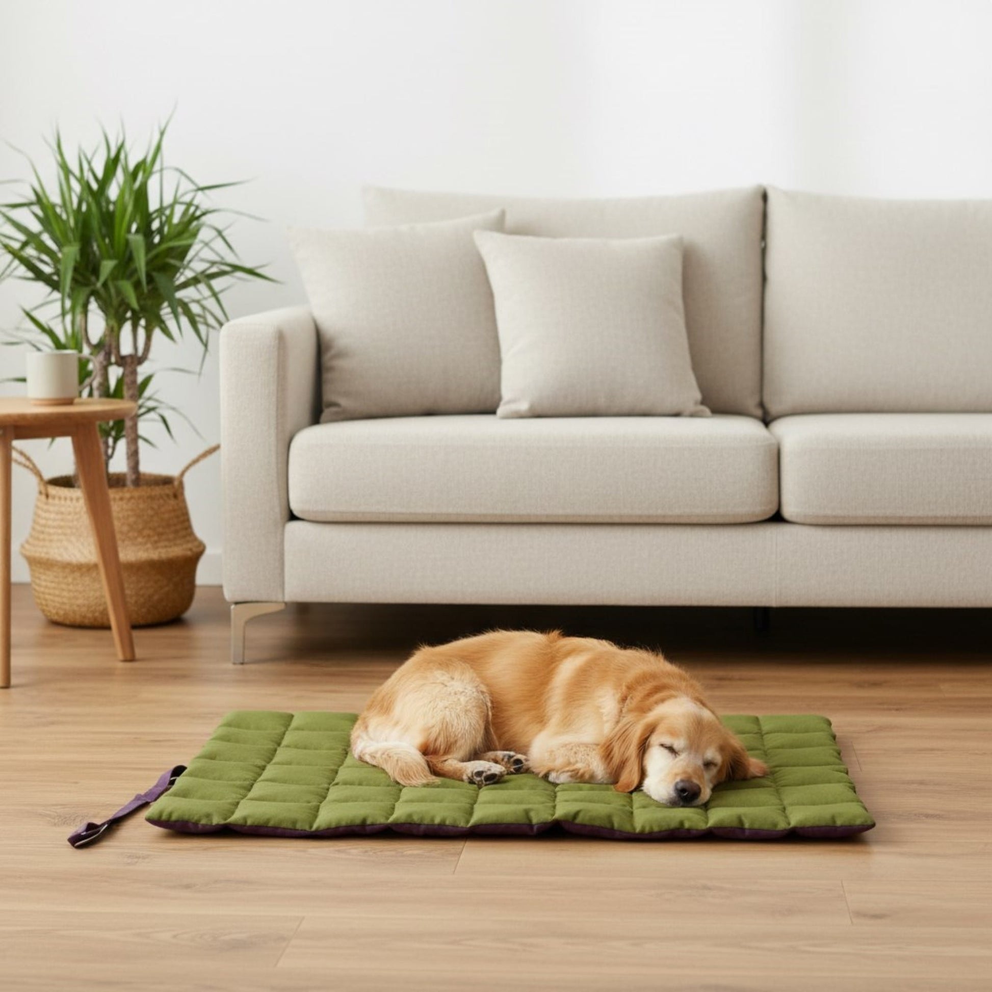 Linen Pet Mat, Two Sided Dog Mat